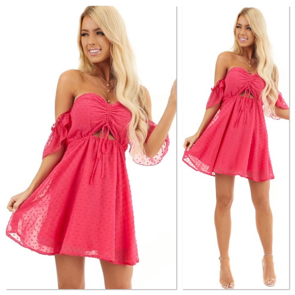 Berry Pink Swiss Dot Skater Dress